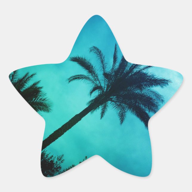 Hawaiian Palm Trees Star Sticker (Front)