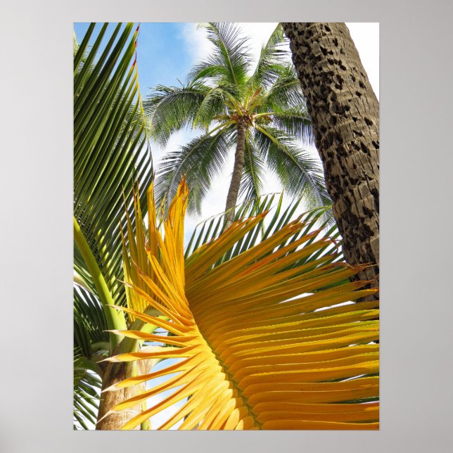 Hawaiian Palms Poster (Front)