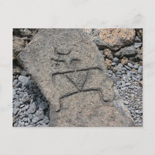 Hawaiian Petroglyph _ Postcard