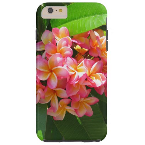 Hawaiian Plumeria Tough iPhone 6 Plus Case