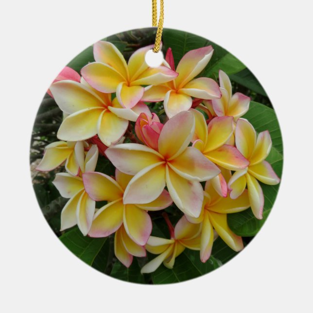 Hawaiian Plumeria Ceramic Ornament (Front)