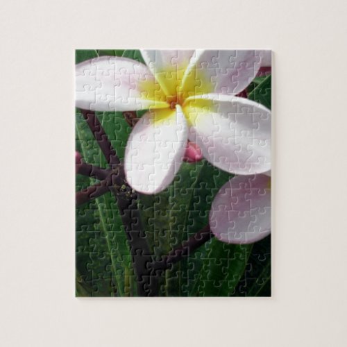 Hawaiian Plumeria Flowers Jigsaw Puzzle