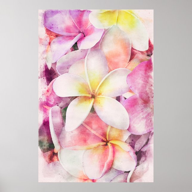 Hawaiian Plumeria Tropical Floral Watercolor Poster (Front)