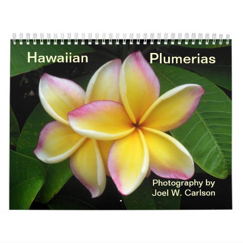 Hawaiian Plumerias Calendar