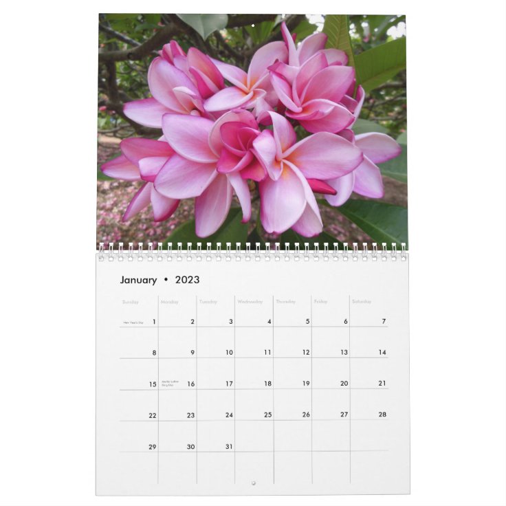 Hawaiian Plumerias Calendar Zazzle