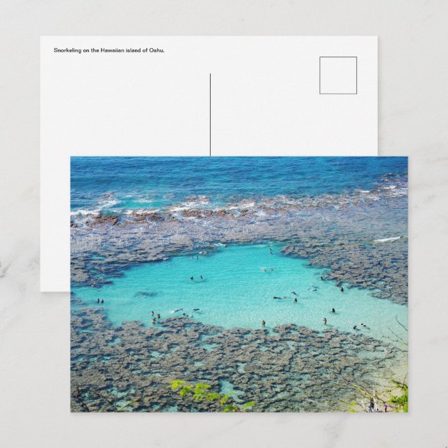 Hawaiian Postcard (Front/Back)