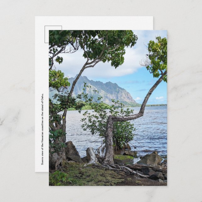 Hawaiian Postcard (Front/Back)