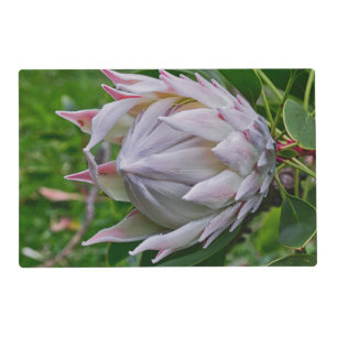 Hawaiian Protea Flower Placemat