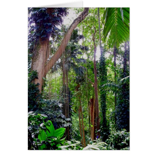 Hawaiian Rain Forest Card