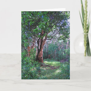 Hawaiian Rainforest Card