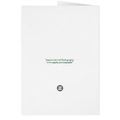Hawaiian Rainforest Cards (Back)