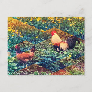 Hawaiian Rooster Postcard