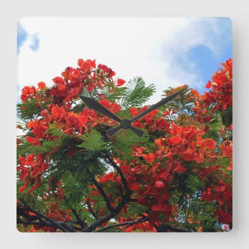 Hawaiian Royal Poinciana Flowering Tree Square Wall Clock