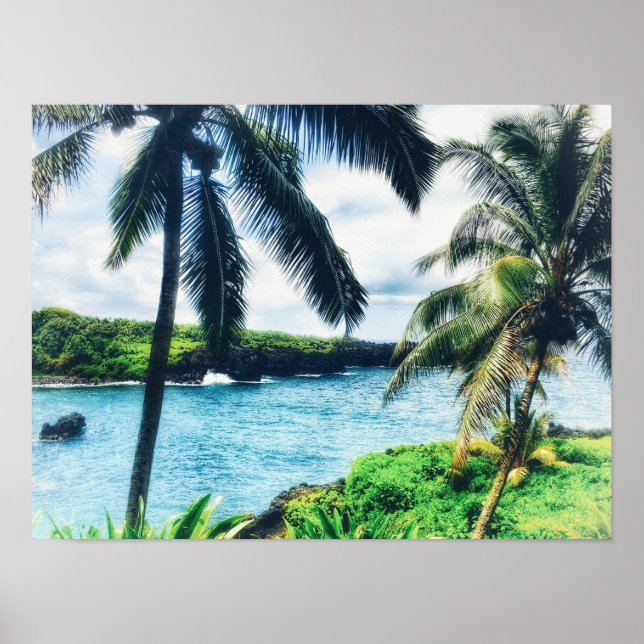 Hawaiian Scene Poster (Front)