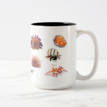 Hawaiian Sea Creatures II, Special Edition