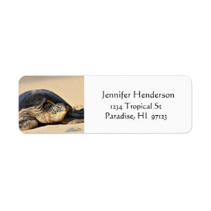 Hawaiian Sea Turtle Address Labels