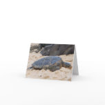 Hawaiian Sea Turtle Card