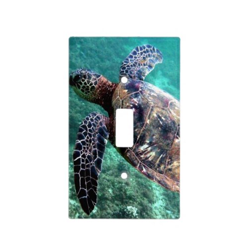 Hawaiian sea turtle light switch cover