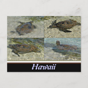 Hawaiian Sea turtle postcard