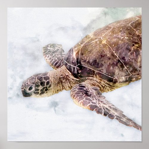 Hawaiian Sea Turtle Realistic Watercolor Poster