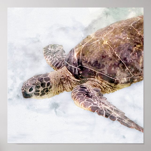 Hawaiian Sea Turtle Realistic Watercolor Poster (Front)