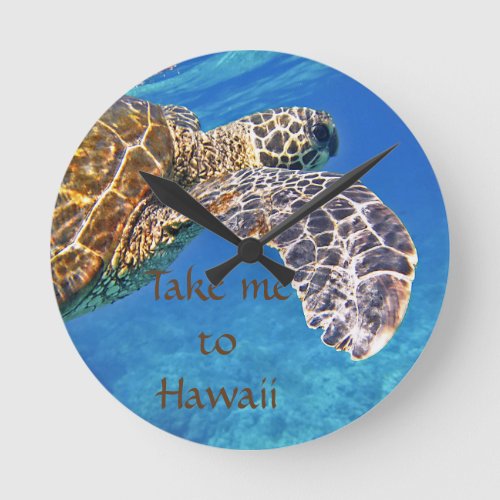 Hawaiian Sea turtle swimming Round Clock