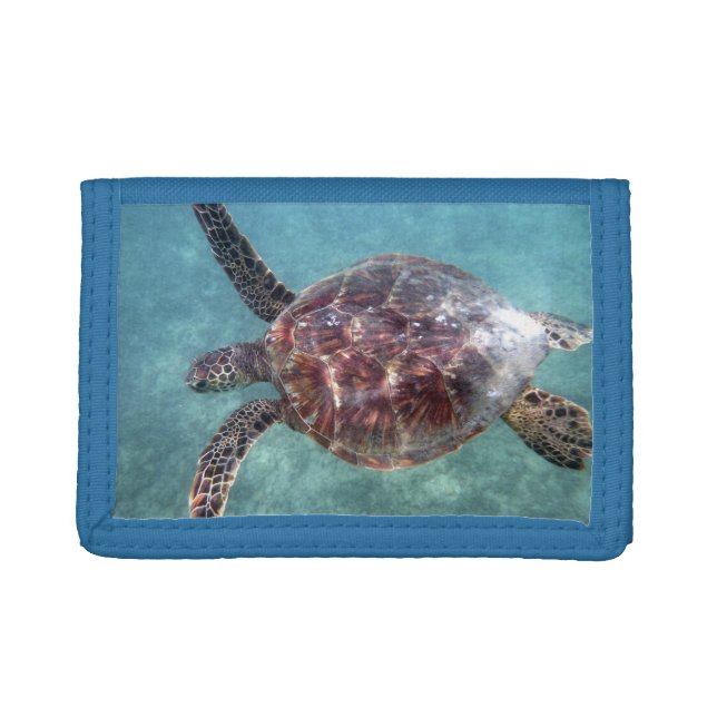 Hawaiian Sea Turtle Wallet (Front)