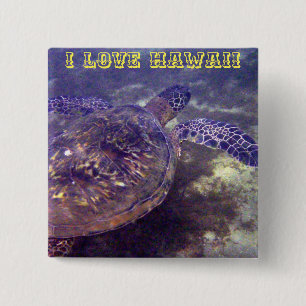 Hawaiian sea turtles button