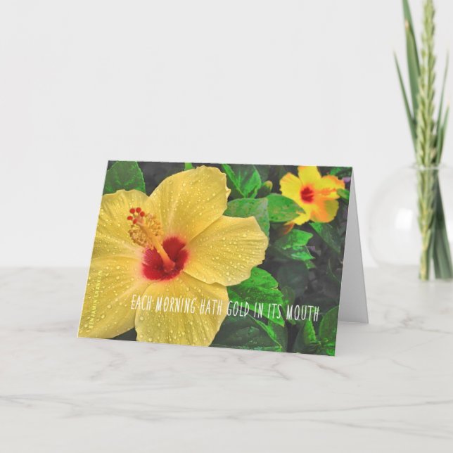 HAWAIIAN SUNRISE Greeting Card (Front)