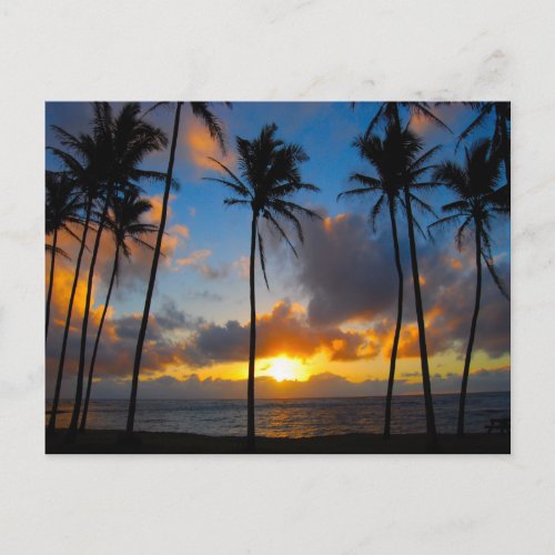 Hawaiian Sunrise Postcard