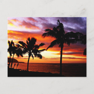 Hawaiian Sunset Postcard