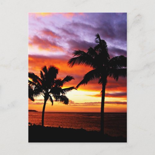 Hawaiian Sunset print Postcard