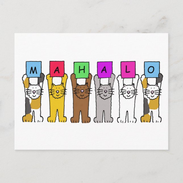 Hawaiian Thanks Mahalo Cartoon Cats Postcard (Front)