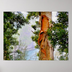 Hawaiian Trees Poster