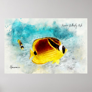 Hawaiian Tropical Fish Watercolor - Butterflyfish Poster