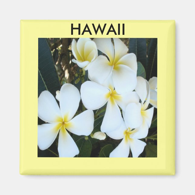 Hawaiian tropical flowers magnet (Front)