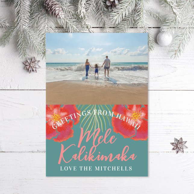 Hawaiian Tropical Island Holiday Hibiscus Palm (Creator Uploaded)