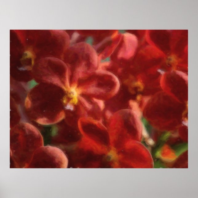 Hawaiian Tropical Orchid Poster (Front)