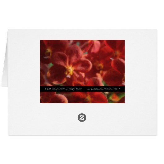 Hawaiian Tropical Plumeria Cards (Back Horizontal)