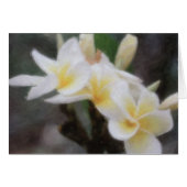 Hawaiian Tropical Plumeria Cards (Front Horizontal)