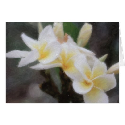Hawaiian Tropical Plumeria Cards (Front Horizontal)
