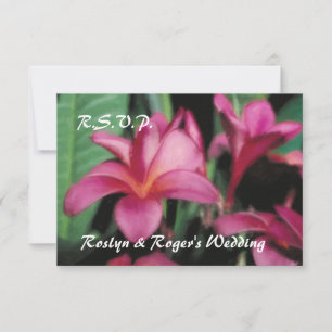 Hawaiian Tropical Plumeria RSVP Cards