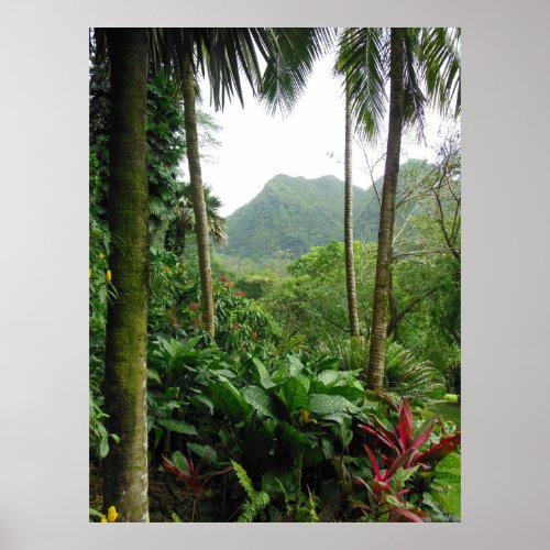 Hawaiian Tropical Rain Forest Poster