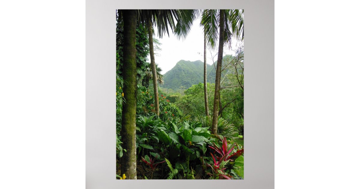 Hawaiian Tropical Rain Forest Poster | Zazzle