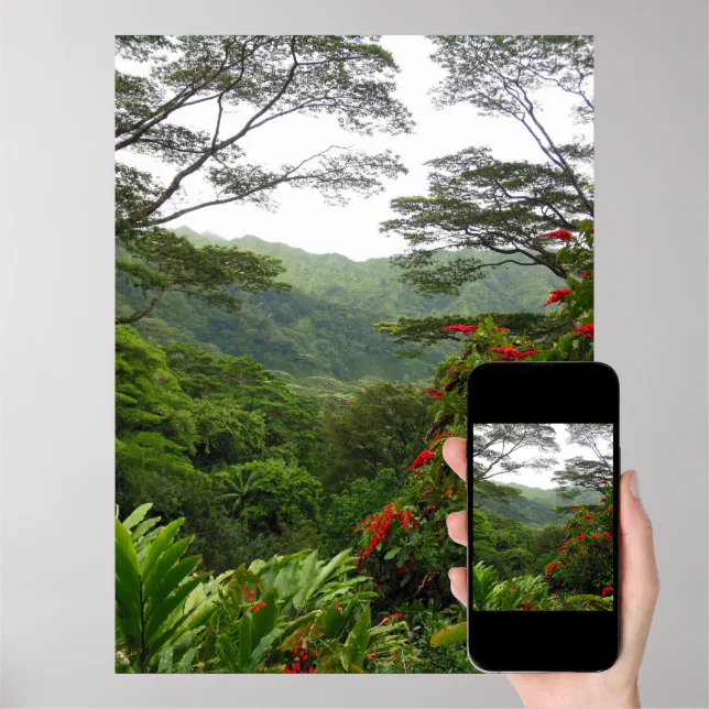 Hawaiian Tropical Rain Forest Poster | Zazzle