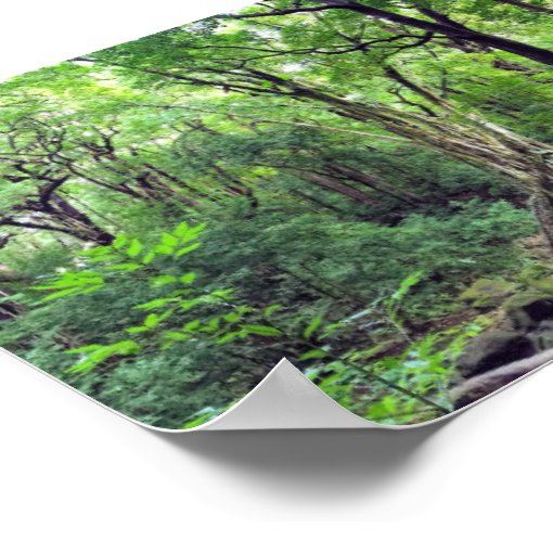 Hawaiian Tropical Rainforest Poster | Zazzle