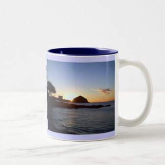 Hawaiian Tropical Sunset Mug
