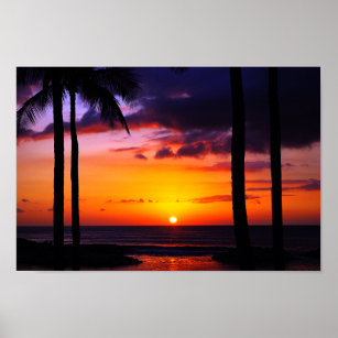 Hawaiian Tropical Sunset Paradise Poster