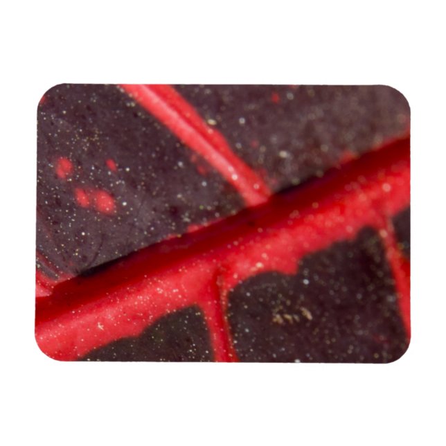 Hawaiian Variegated Red Leaf Magnet (Horizontal)
