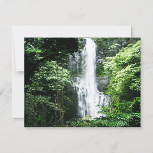 Hawaiian Waterfall Announcements